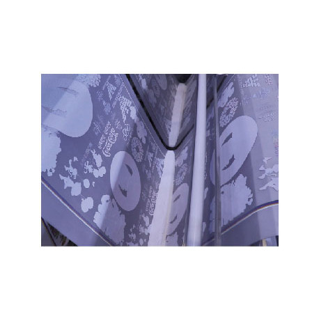 Sistema directo a film DTF 61cm