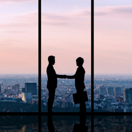 Film interior protector 75% raigs UV SOL 101