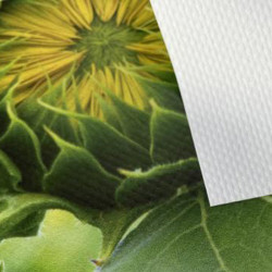 Lona fosa de 510 grm  80cmx50m