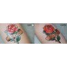 Transfer Tattoo Forever para la piel Transfer Tattoo Forever para la piel
